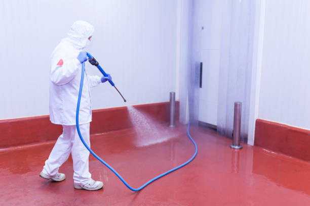 Best Sidewalk and Walkway Cleaning  in Floral Park, NY