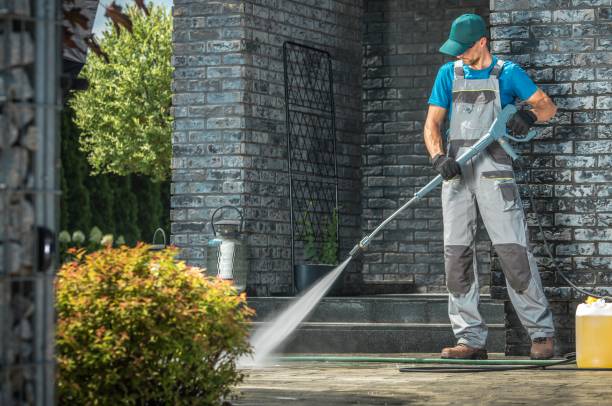 Best Dumpster Area Cleaning  in Floral Park, NY