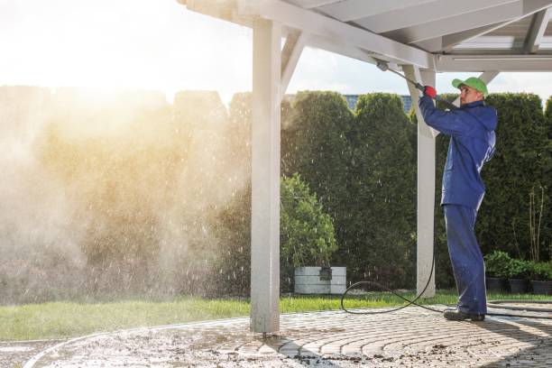 Animal Enclosure Cleaning in Floral Park, NY